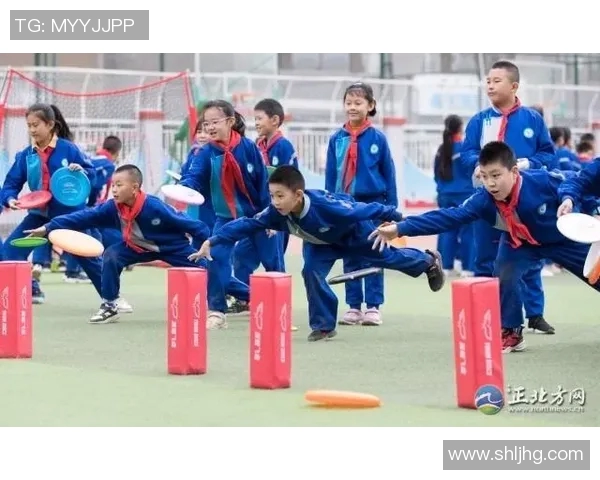 刘丽独家分享飞盘技巧与心得体会助你轻松掌握这项运动的乐趣与魅力