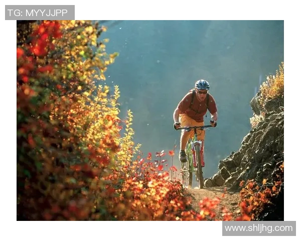 极限运动战术解析杭州极限运动队的创新进攻体系与战术布局