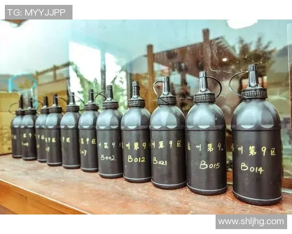 深圳极限运动队反击战术解析与实战应用探讨