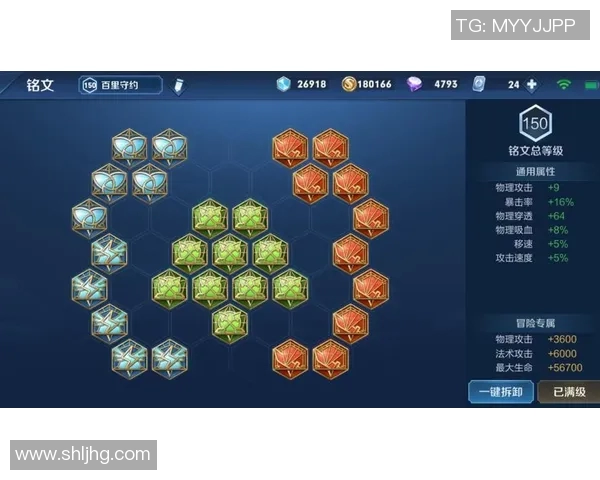 深度探讨杨磊在王者荣耀中的成长与挑战之路