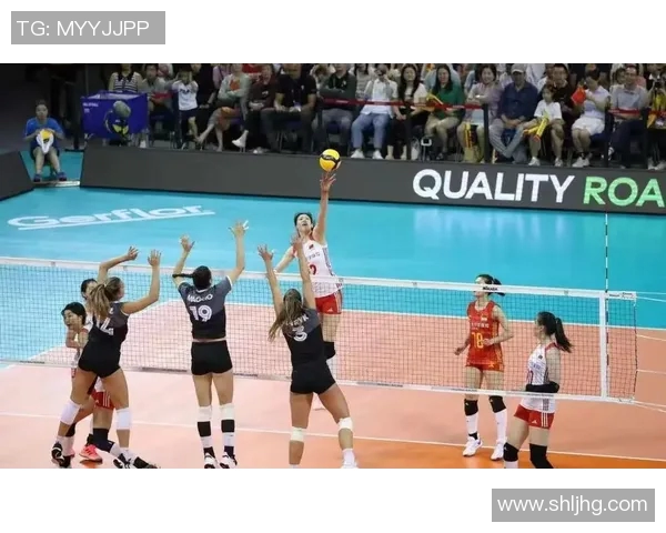 重庆排球队实力分析与表现评估全面解读