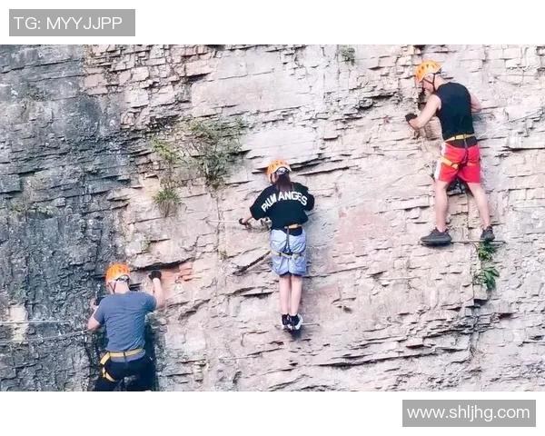 北京攀岩队意识对比深度解析与训练策略探讨