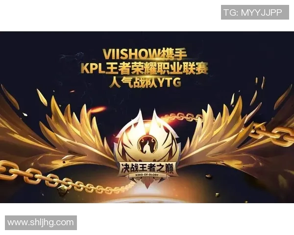 王者荣耀战术新解析JDG战队如何引领潮流成就巅峰对决